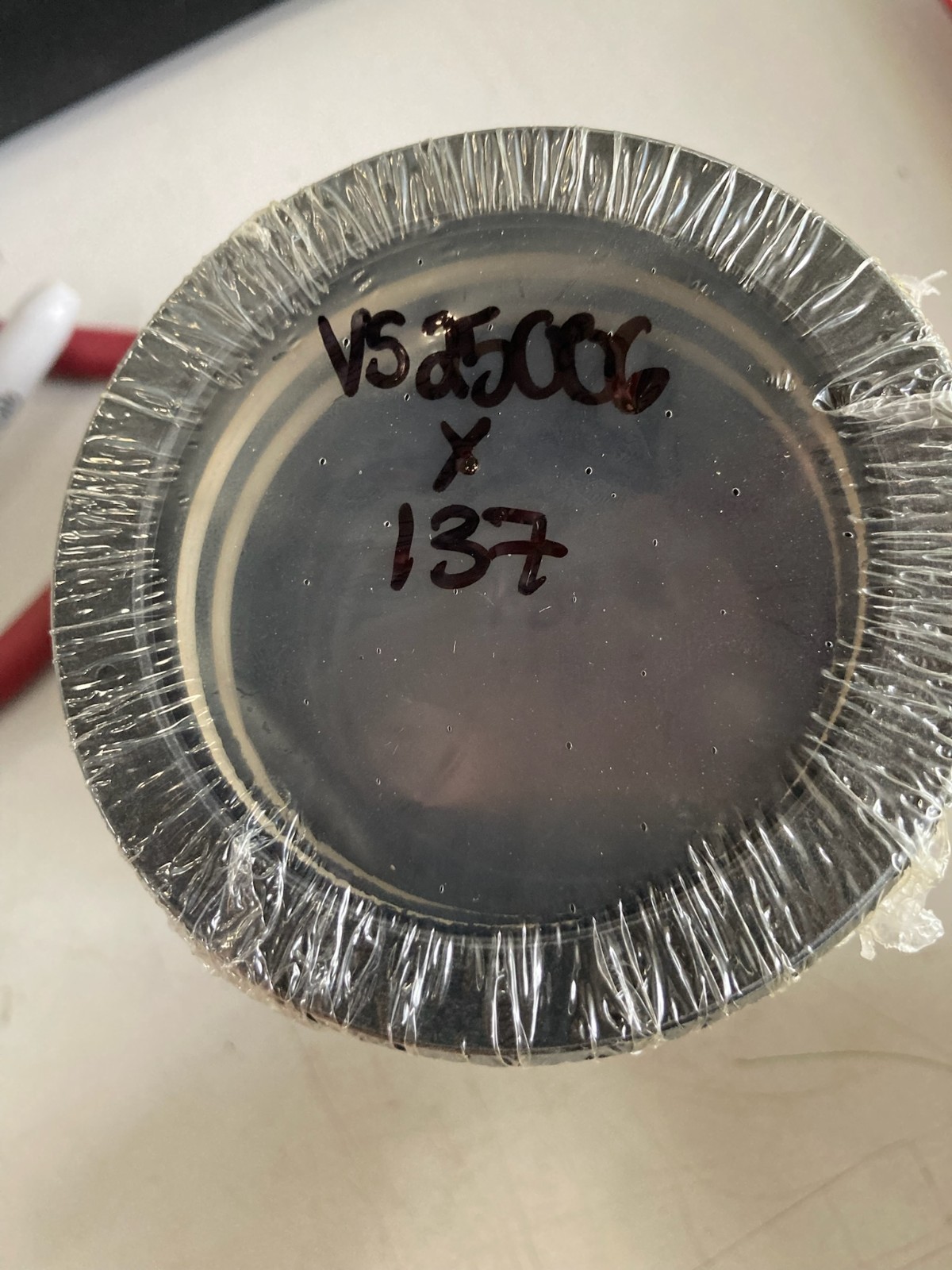 VS25006X137 Hydraulic V-Set Seal 2.500 ID x 3.250 OD x 1.375 H Vee Packing 1PC