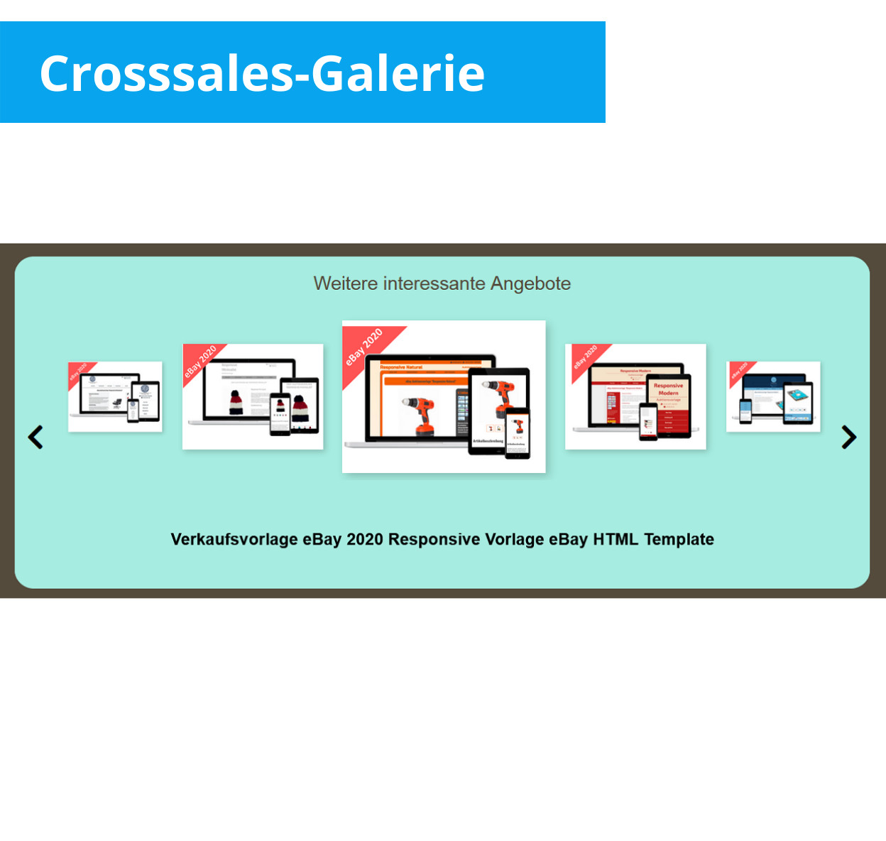 eBay HTML Template 2024 Responsive Natural Template Mobile Optimized +Editor