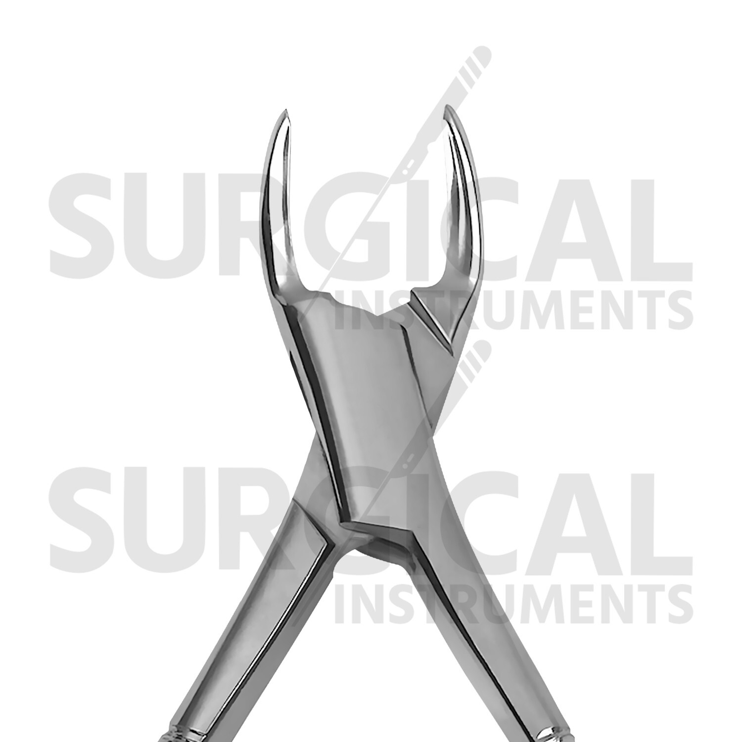 10 Pcs Extracting Forceps #150 & 151 Dental Instruments Stainless German Grade