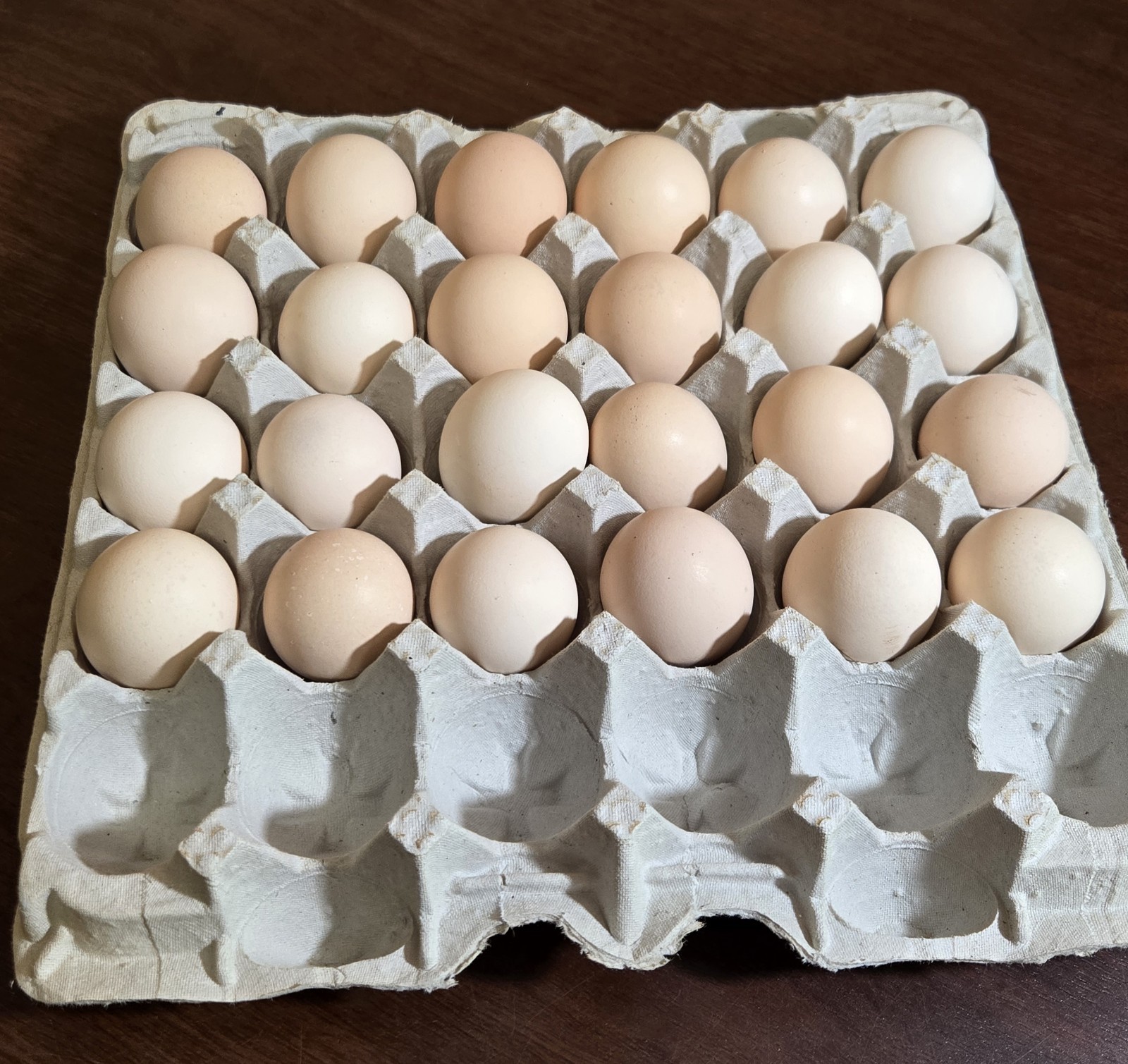 24 Ayam Cemani Hatching Eggs Fertile Fresh Rare Black Chicken Shipped Fast