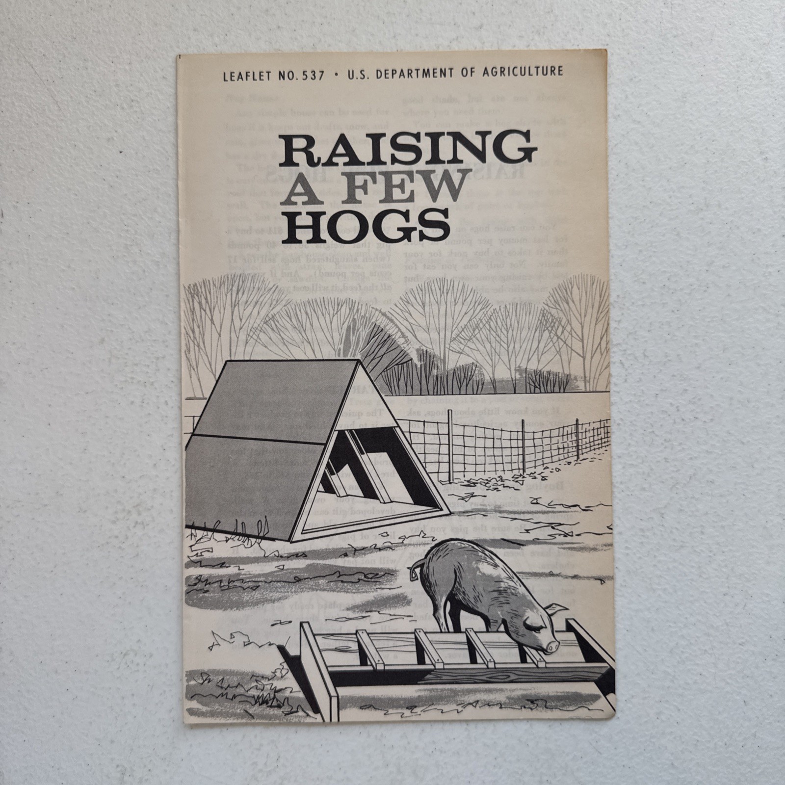 Raising A Few Hogs 1966 U.S. Department of Agriculture Leaflet No. 537