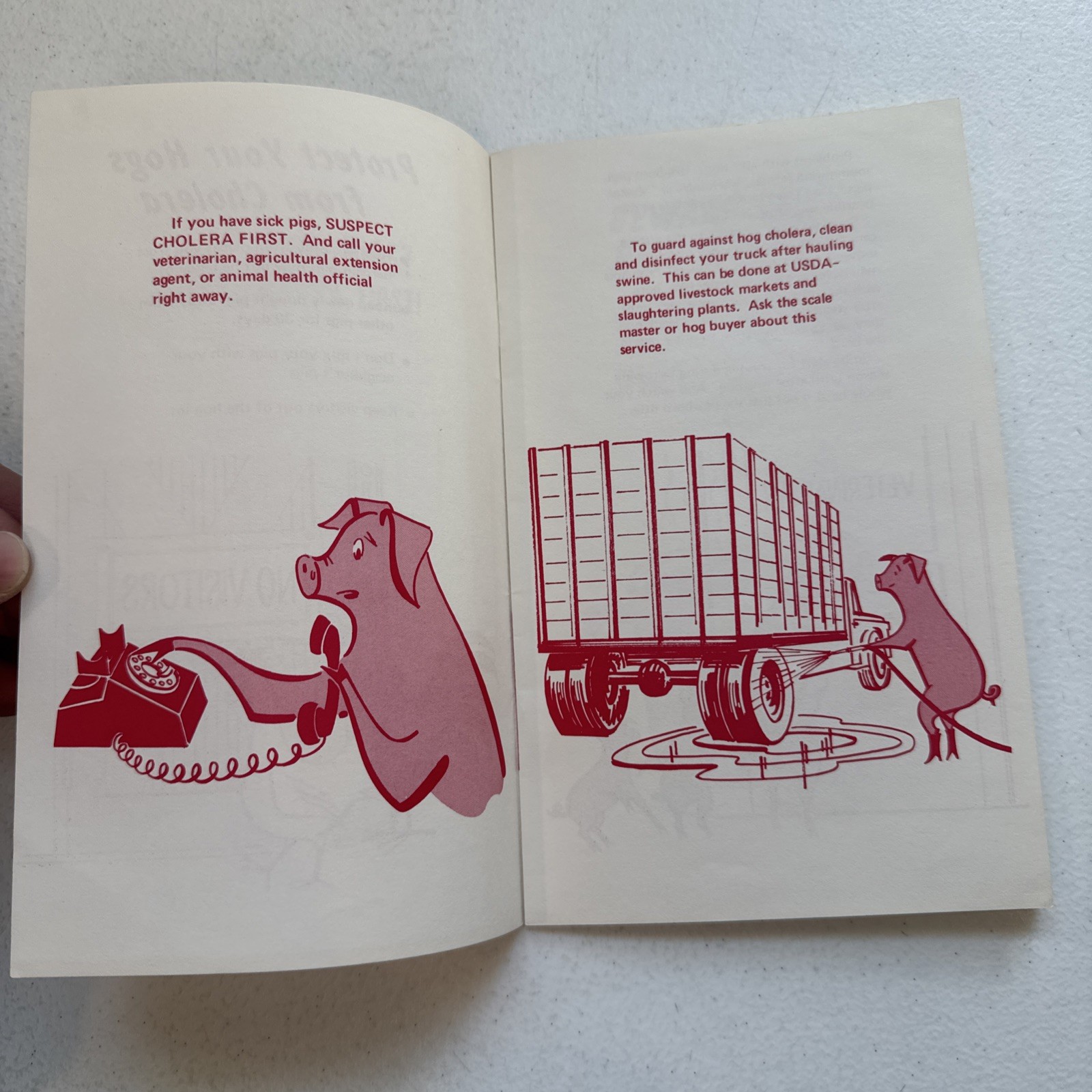 Sick Pigs? Suspect Cholera First! Animal & Plant Health U.S. Dept Of Agriculture