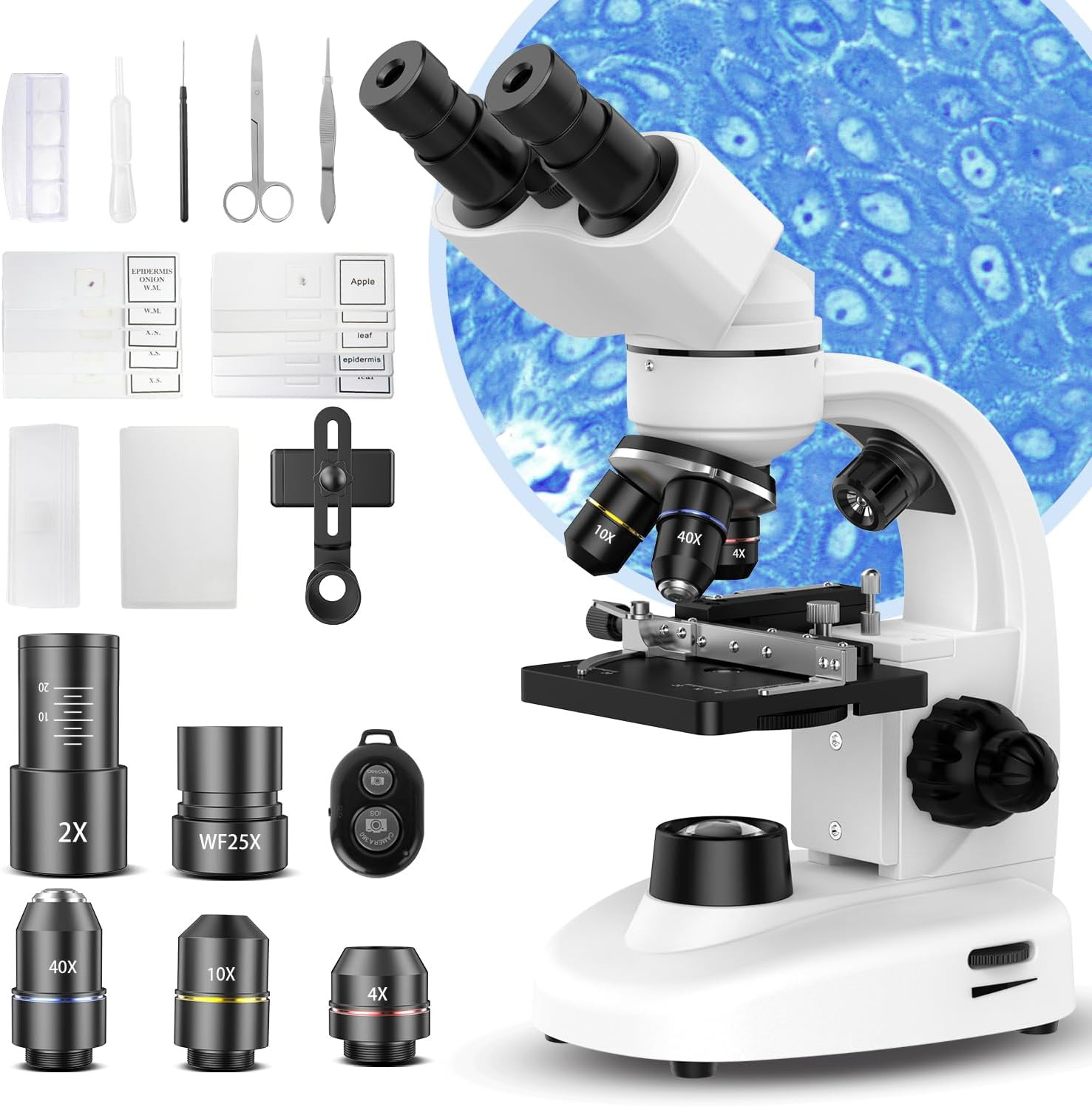 Compound Binocular Microscope for Adults, Professionals & Kids, 40X-2000X Magnif