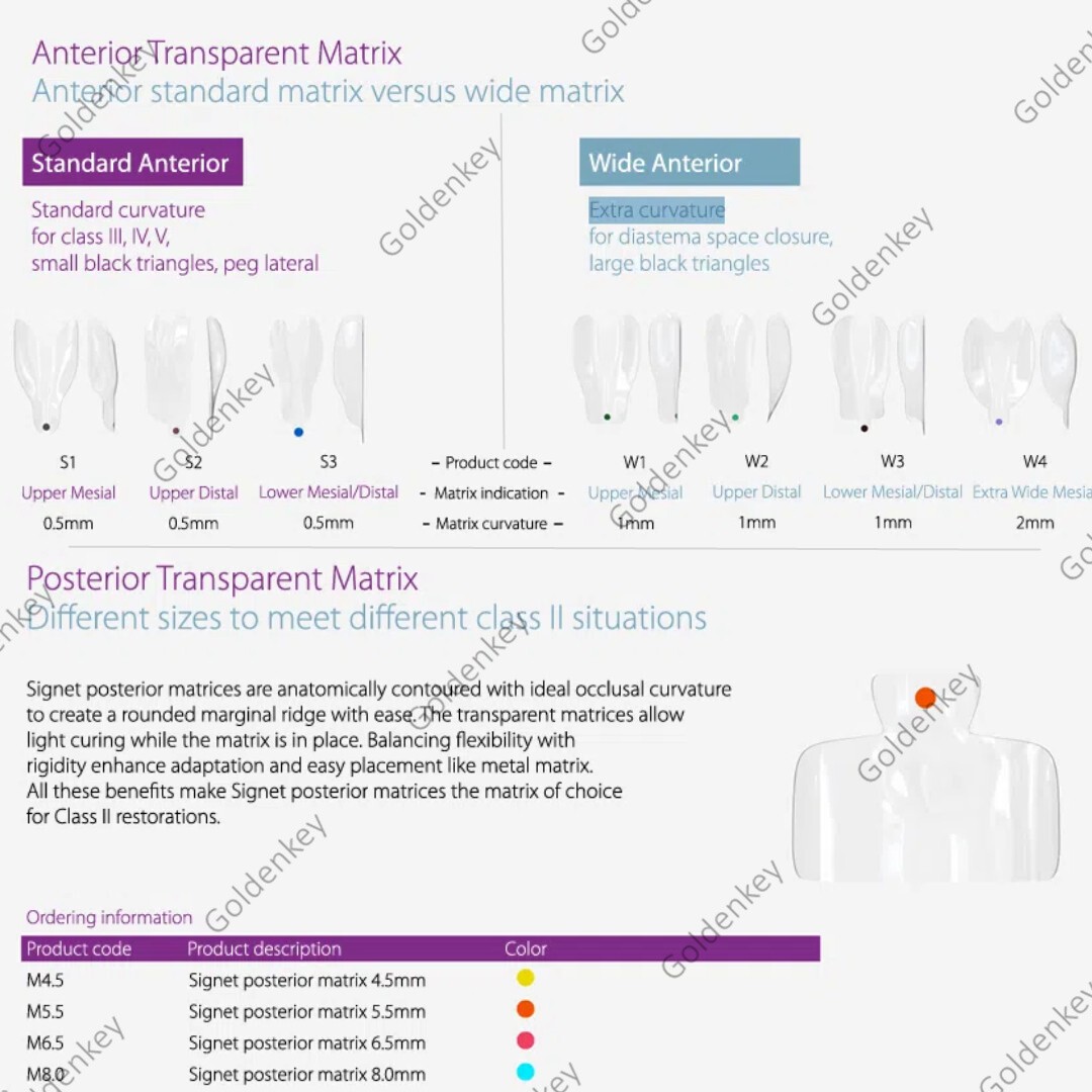 Clear Matrix Dental Anterior Posterior Transparent BT Matrices Fit BioClear