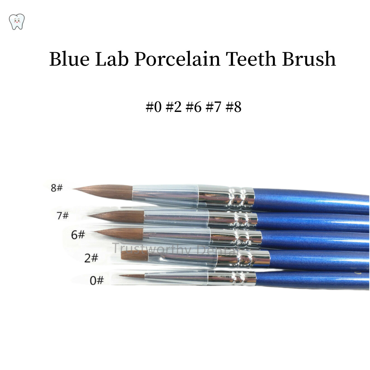 Dental Blue&Green Lab Porcelain Teeth Brush Ceramic Brushes Denture Pen