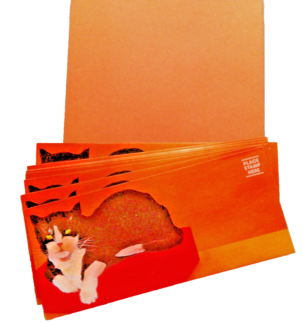 CAT STATIONERY VITG 10 ENVELOPES 9.5X4.5 20 SHEES 8X9.5 PLASTIC POUCH COVER (1)