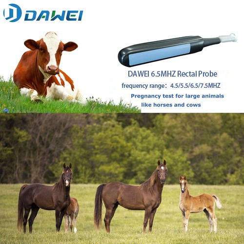 DAWEI Handheld Veterinary Ultrasound Machine Rectal Probe for Horse, Cow