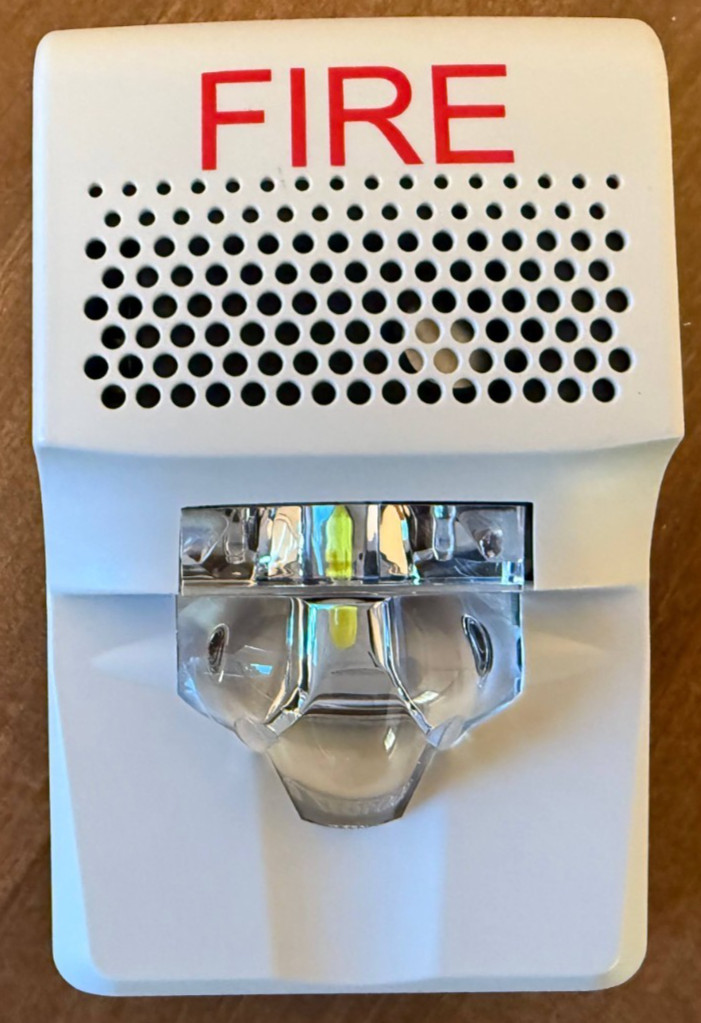 EDWARDS G1AVWF WALL HORN/STROBE | NEW