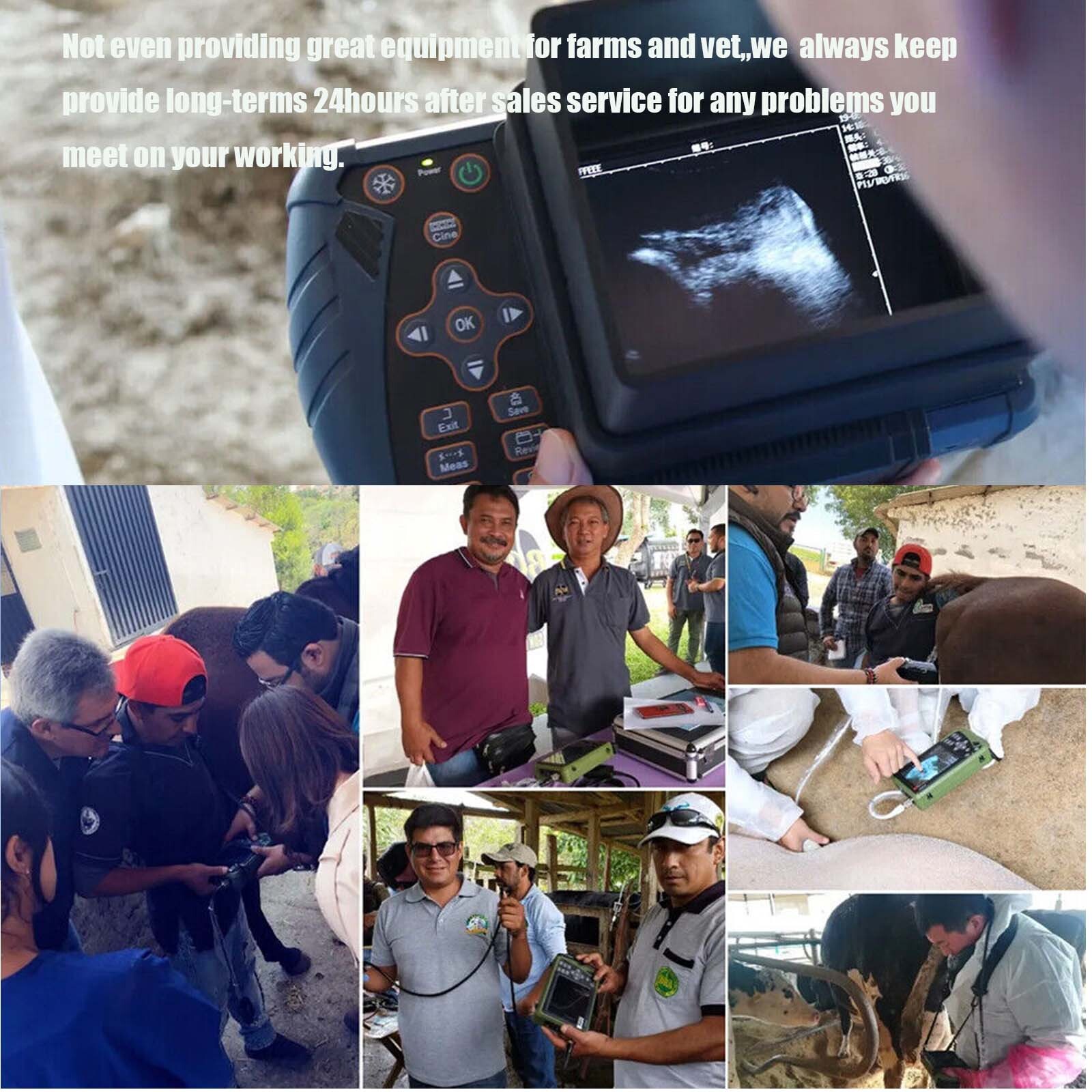 DAWEI Handheld Veterinary Ultrasound Machine Rectal Probe for Horse, Cow