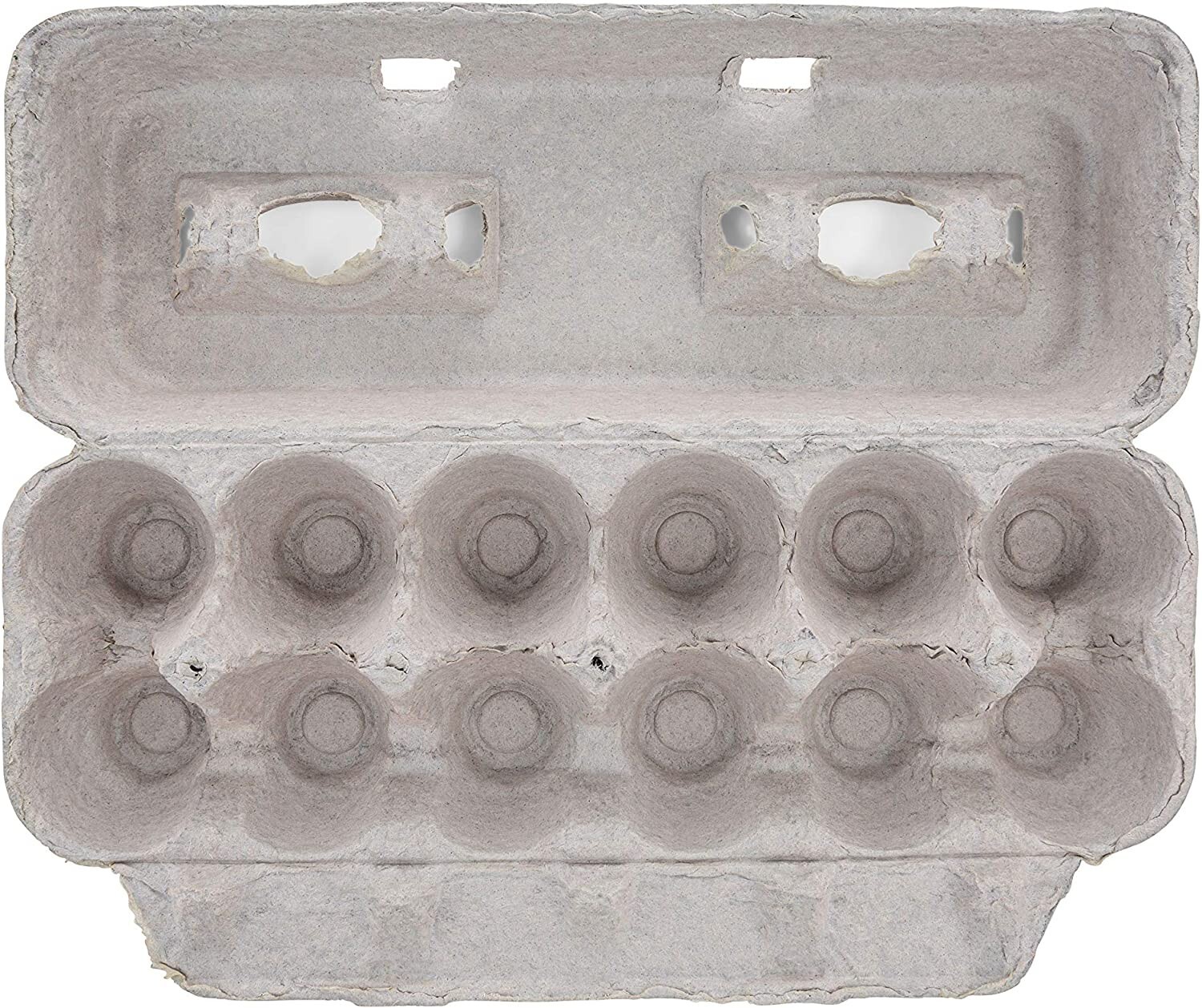 MT Products Printed Pulp XL Paper Egg Cartons Hold Eggs 12 Count – Pack of 10