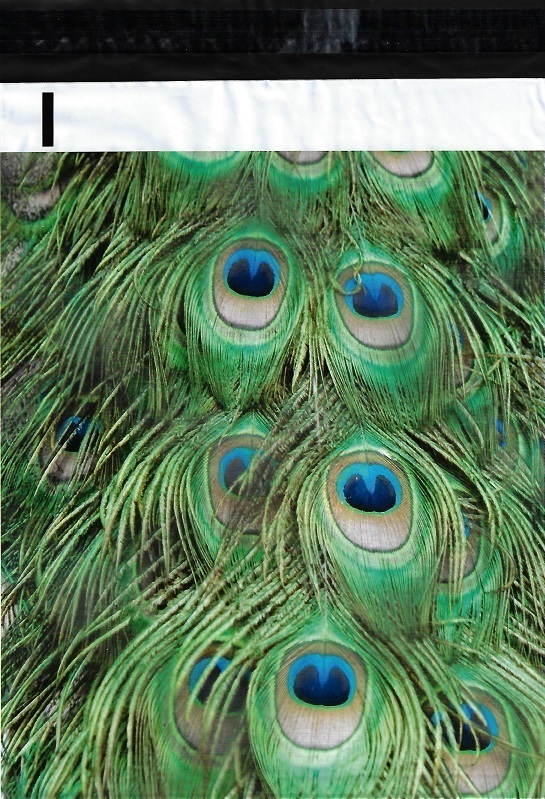100 10×13 Peacock Feathers Designer Poly Mailers Envelopes Boutique Custom Bags