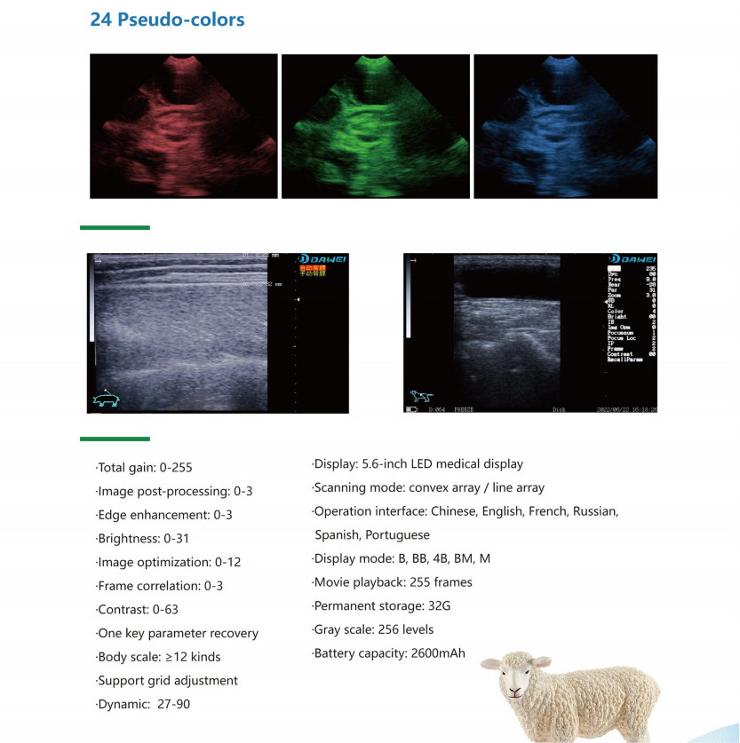 DAWEI Handheld Veterinary Ultrasound Machine Rectal Probe for Horse, Cow