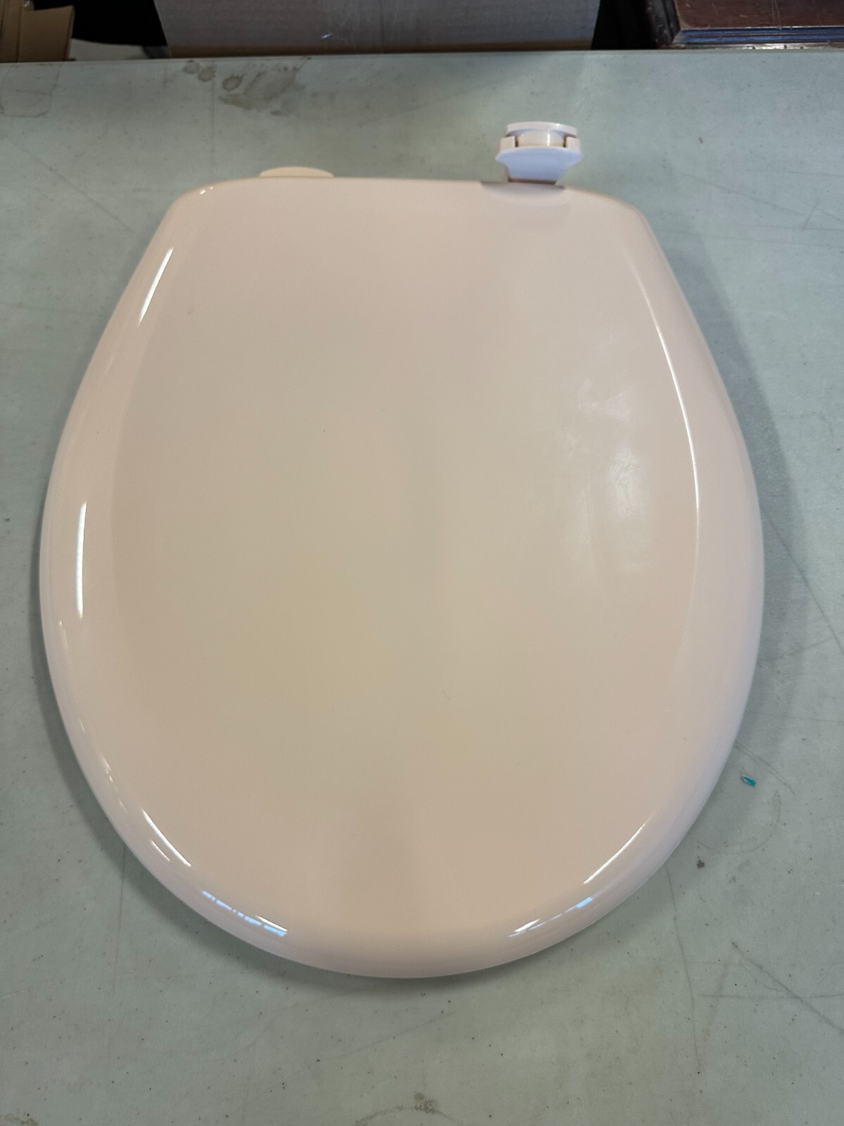 Bemis 200SLOWT 643 Whisper-Close Round Closed Front Toilet Seat in Desert Bloom