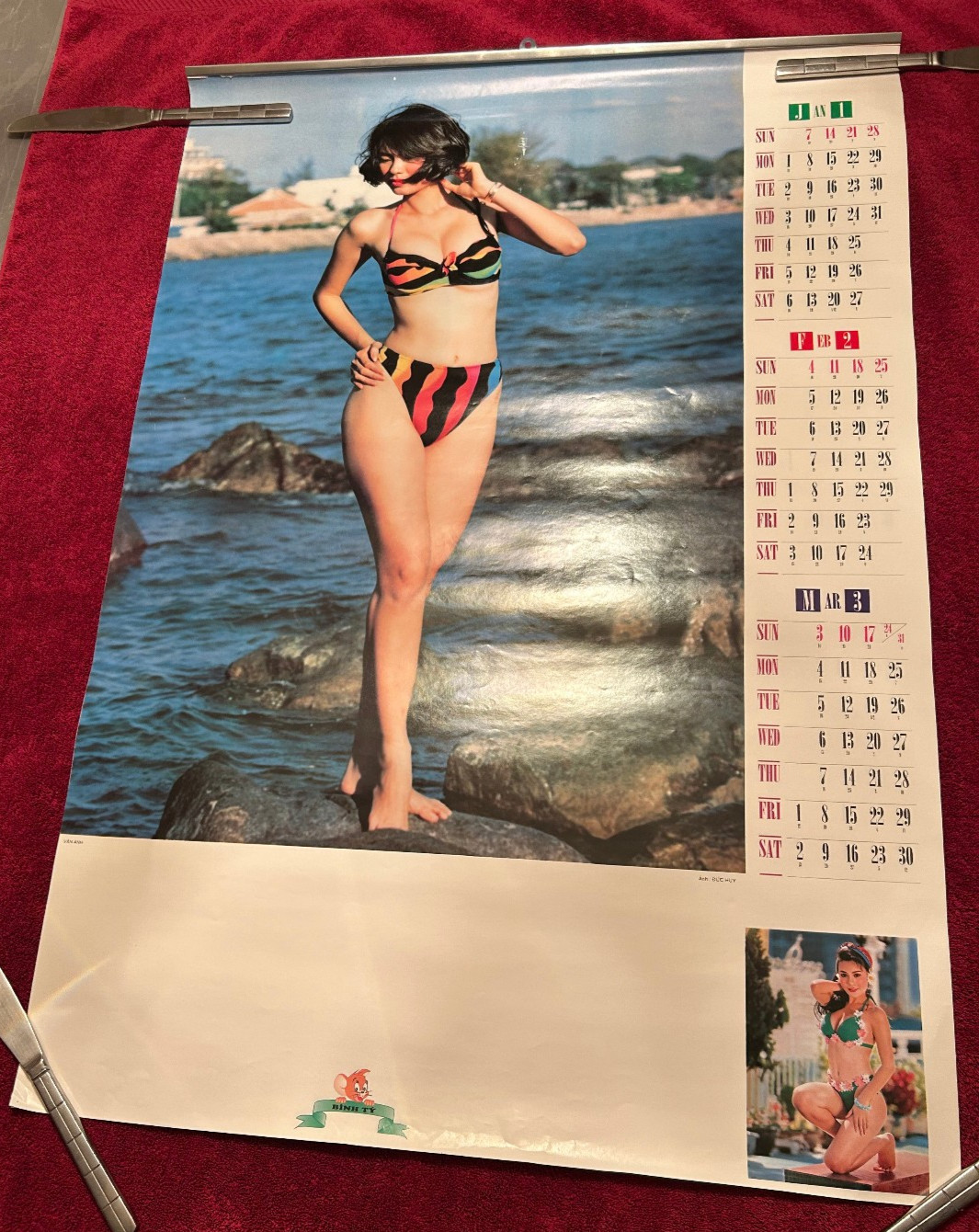 Vintage 1996 Vietnamese Swimsuit Model Pin-Up Wall Calendar Binh Ty Asian Retro