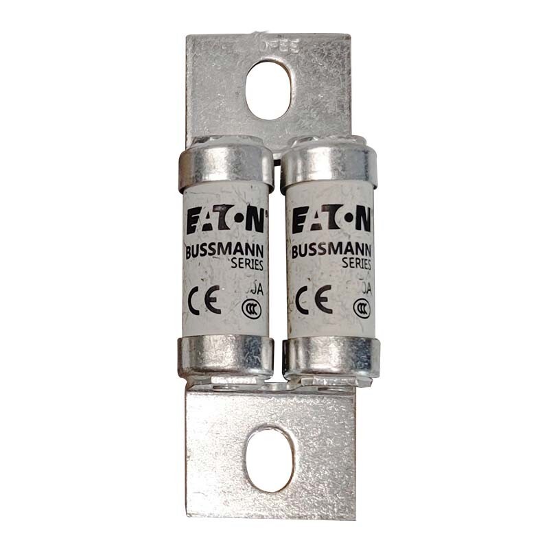 Bussmann 100FEE ( 100 Amp ) 100A 690Vac AC Fuse Type T BS88:4