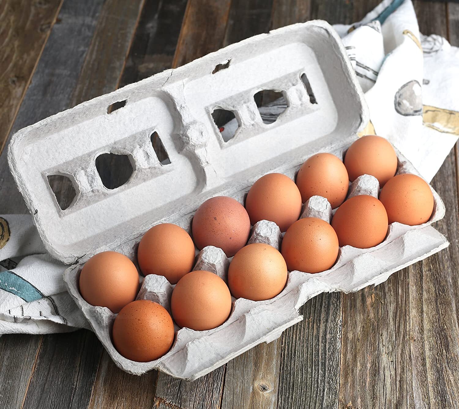 MT Products Printed Pulp XL Paper Egg Cartons Hold Eggs 12 Count – Pack of 10