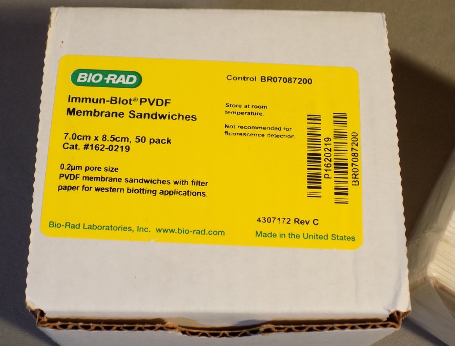 2-Pkgs Bio Rad Immun-Blot PVDF Membrane Sandwiches 7 x 8.5cm 0.2um 162-0219