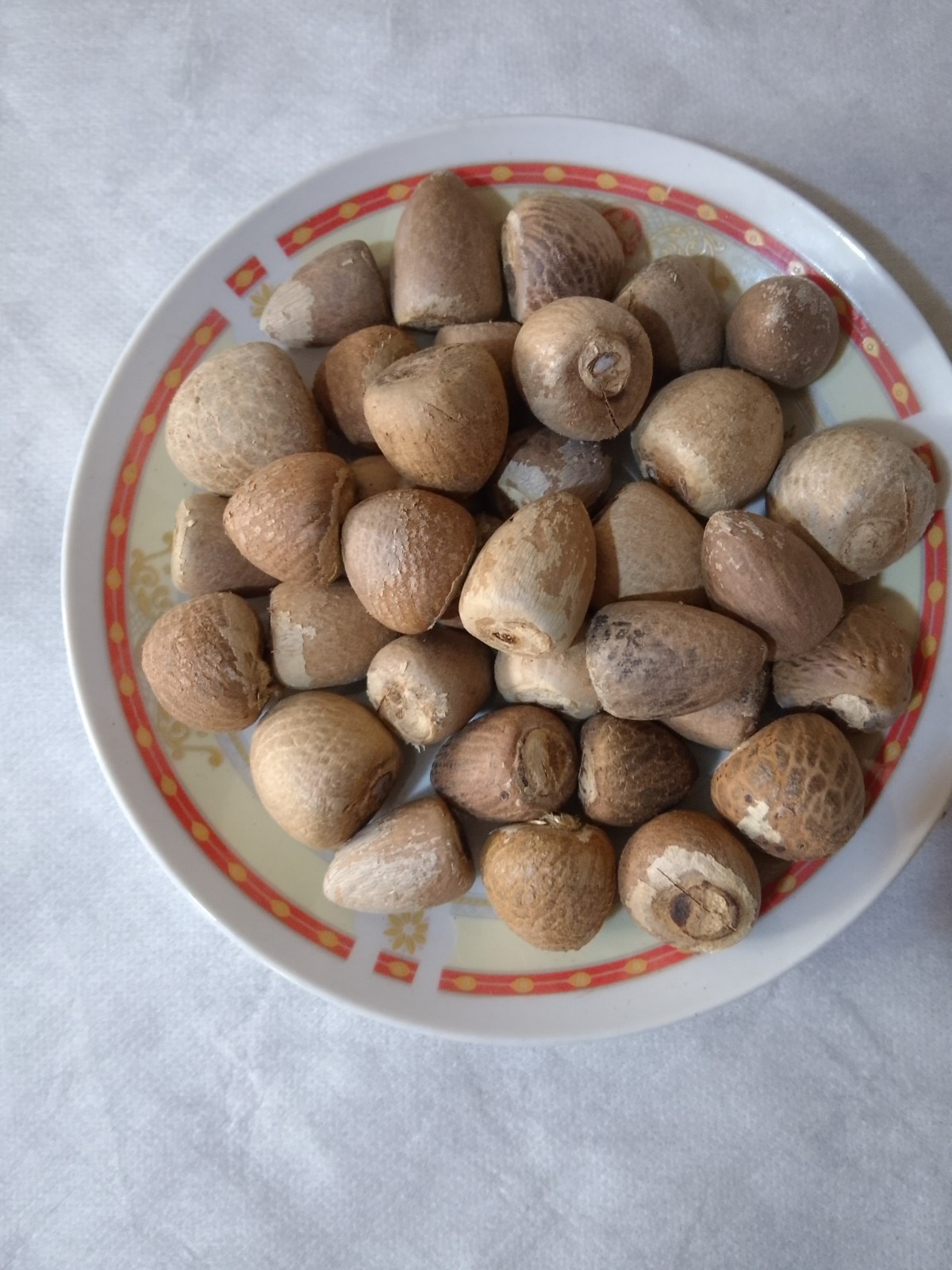 Natural Dry Areca Nut | Sun Dried | Chemical Free | From Sri Lanka