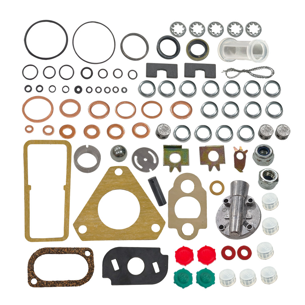 Overhaul Rebuild Kit For Ford Delphi CAV Lucas DPA Roto Injection Pump