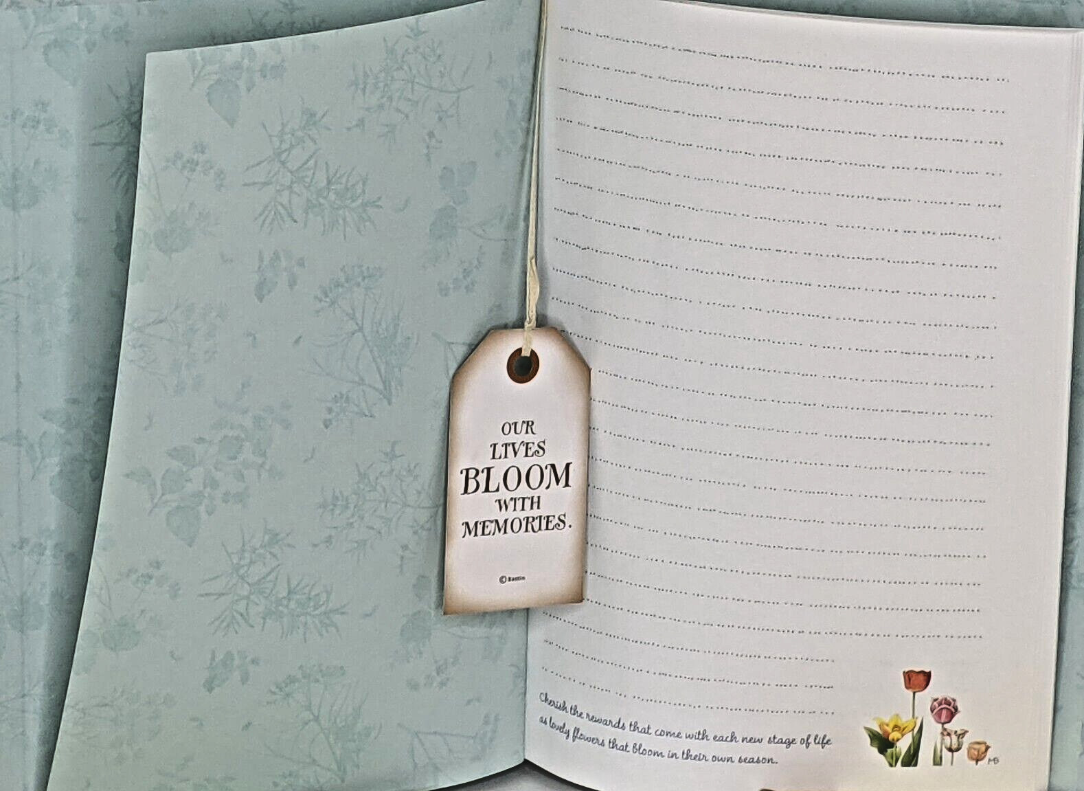 Hallmark Marjolein Bastin 3 JOURNALS Hardcover Discover Renew Bloom