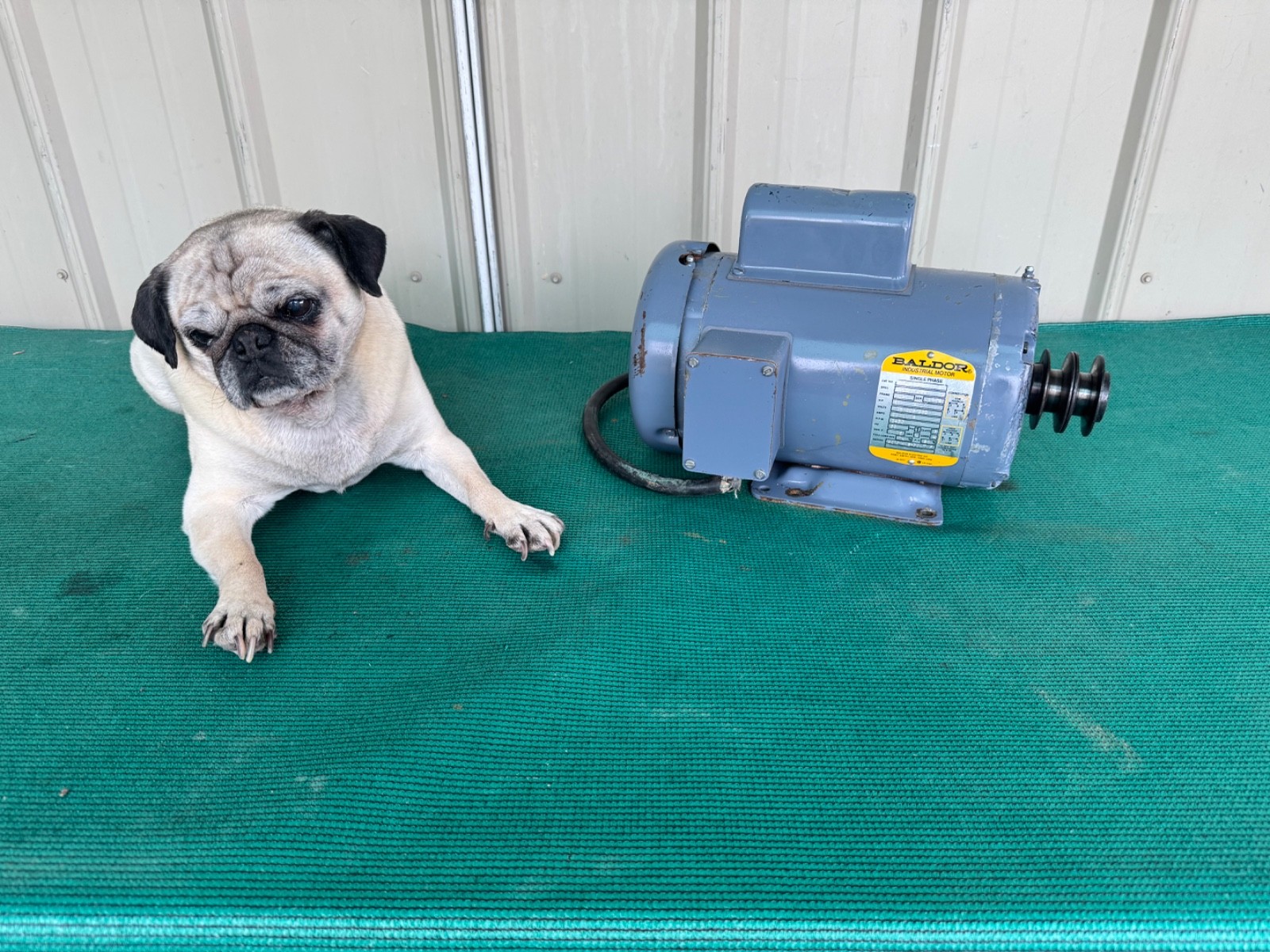 Baldor Industrial Motor 2 Hp – 3450 Rpm – 115/230V – 1 Phase – Cat No. L35151T