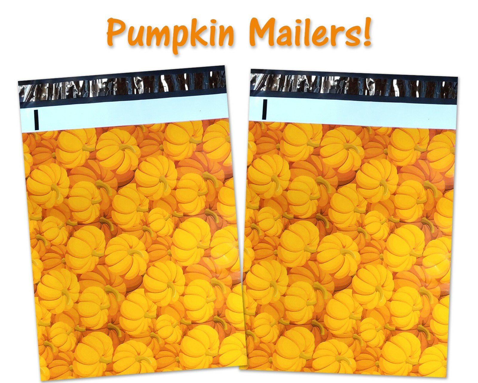 10×13″ Fall, Winter, Christmas Candy Cane, Pumpkin, Deer Poly Shipping Mailers