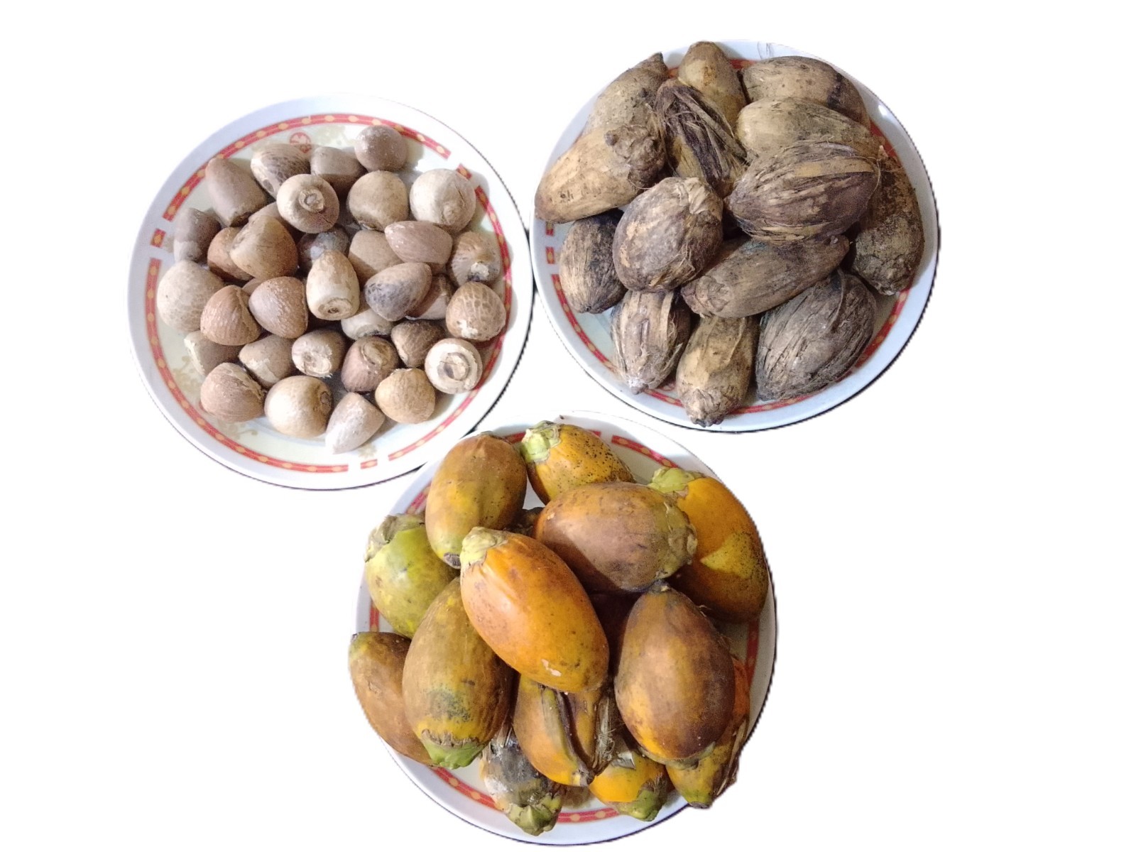 Natural Dry Areca Nut | Sun Dried | Chemical Free | From Sri Lanka