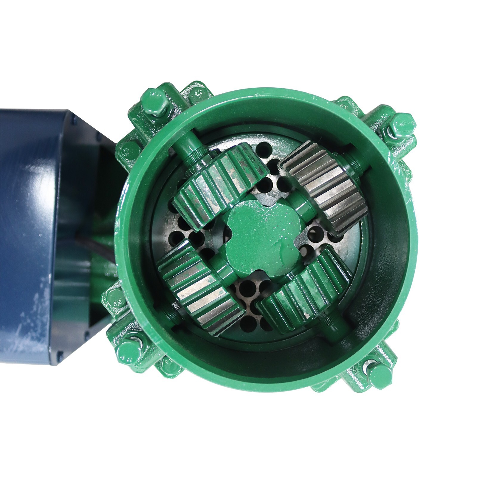 Feed Granulator Animal Feed Pellet Mill Machine 8mm Plate 220V 4.5KW 4Rollers