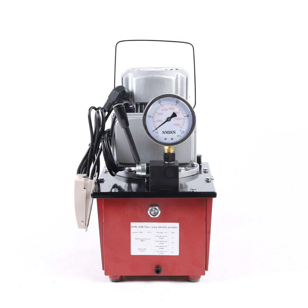 110V 750W Electric Driven Hydraulic Pump Single Acting Manual Valve 10000PSI USA