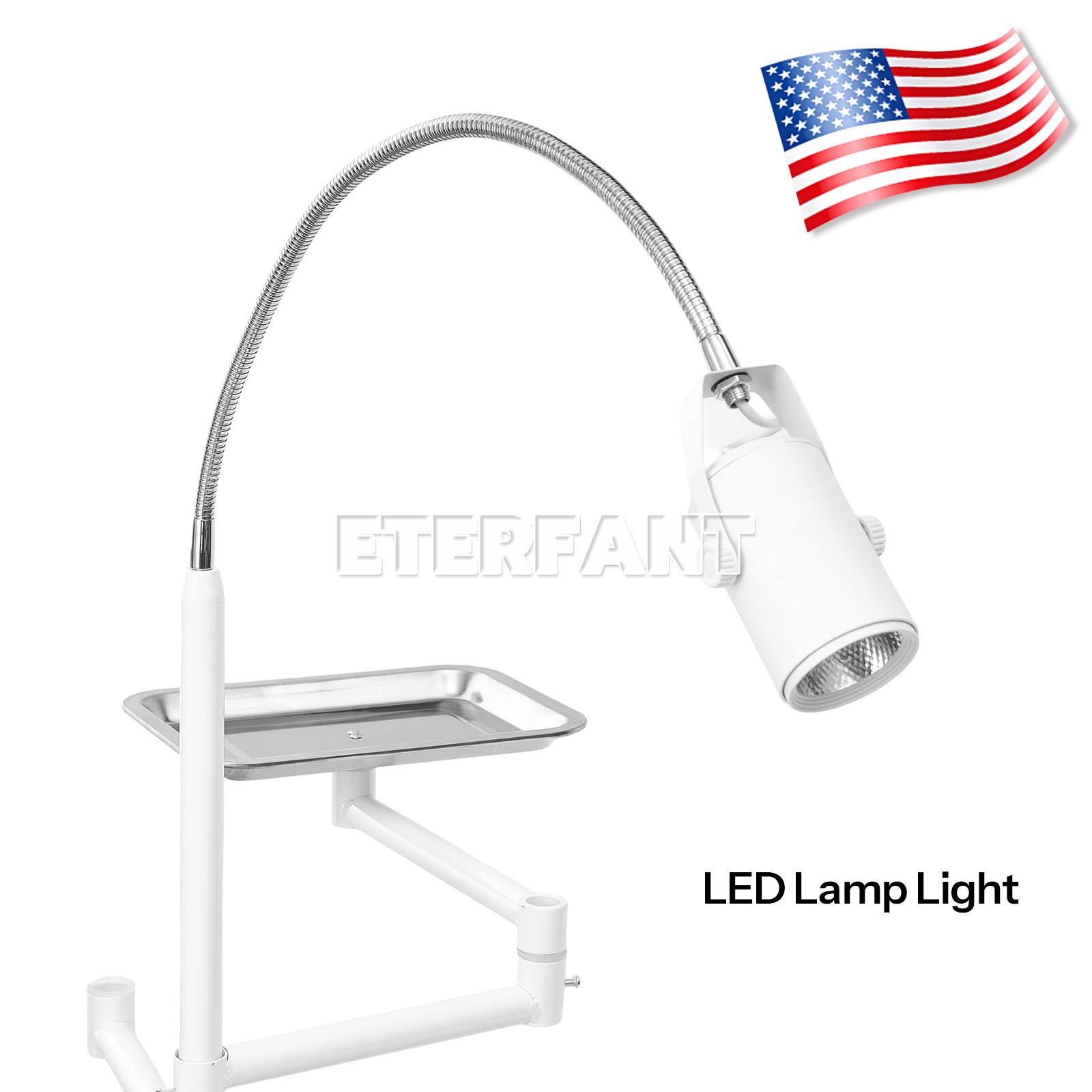 ENTERFANT Portable Dental Chair Mobile Exam Folding Silla LED Light Lamp+Tray