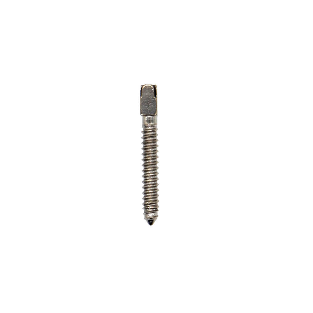 120pcs/box Assorted Dental endodontic Pure TITANIUM SCREW POST with tools