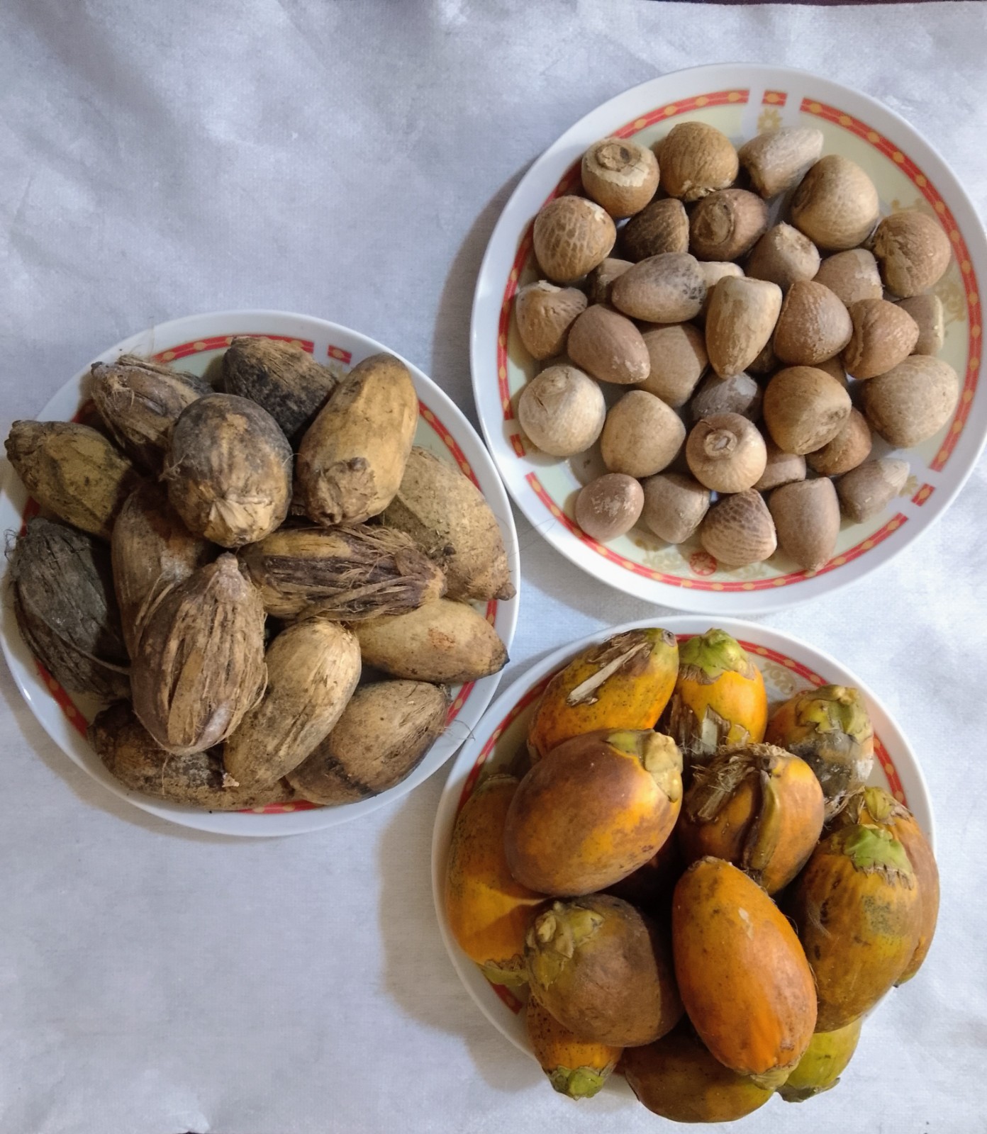 Natural Dry Areca Nut | Sun Dried | Chemical Free | From Sri Lanka
