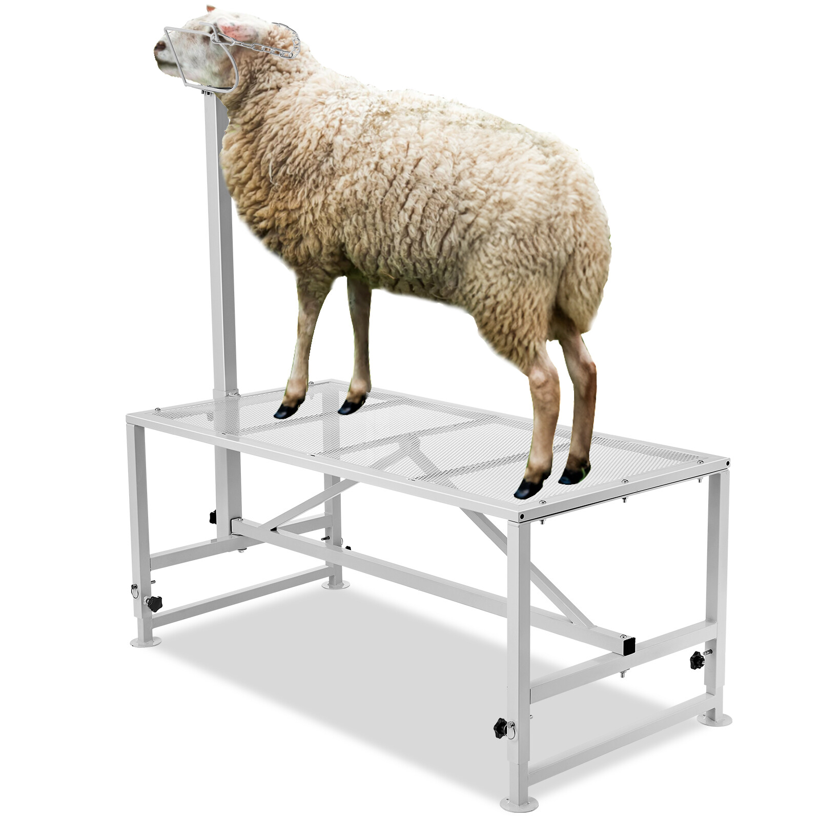 VEVOR Livestock Stand Goat Trimming Stand 21″-33″ Height 47×23 in Tabletop White
