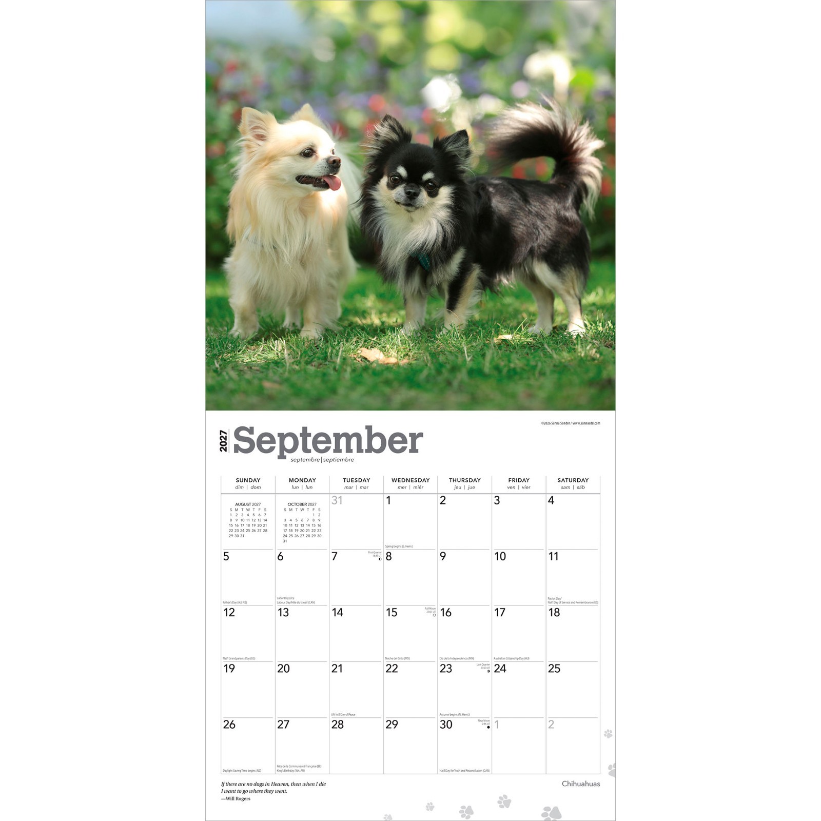 Chihuahuas | 2027 12×24″ (Hanging) Monthly Wall Calendar | Plastic-Free