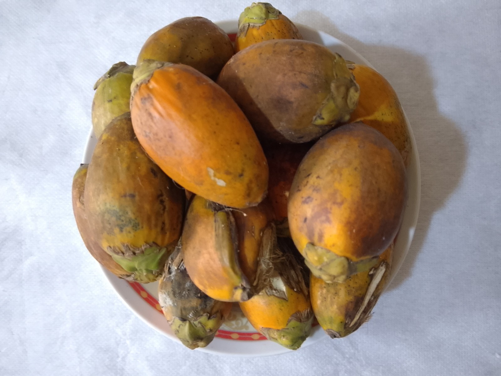 Natural Dry Areca Nut | Sun Dried | Chemical Free | From Sri Lanka