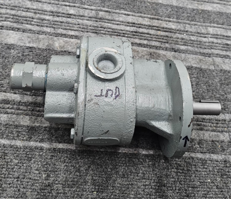 BSM Pump Rotary Gear Pump, Flange Mounted Heavy Duty Gray 02030-3