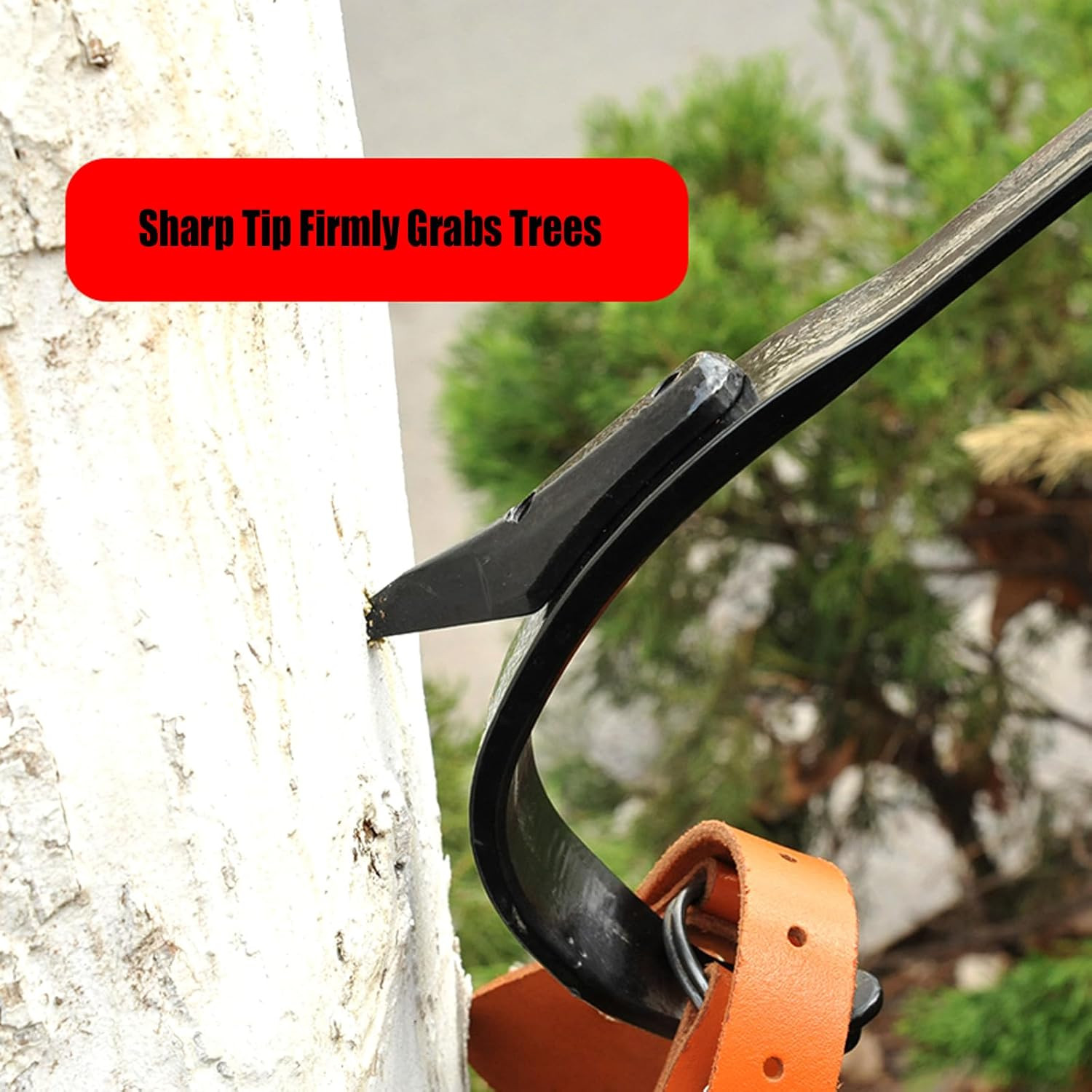 Tree Spikes Adjustable Height Pole Tree Climbing Spurs Steel w/2 Climbing Gear