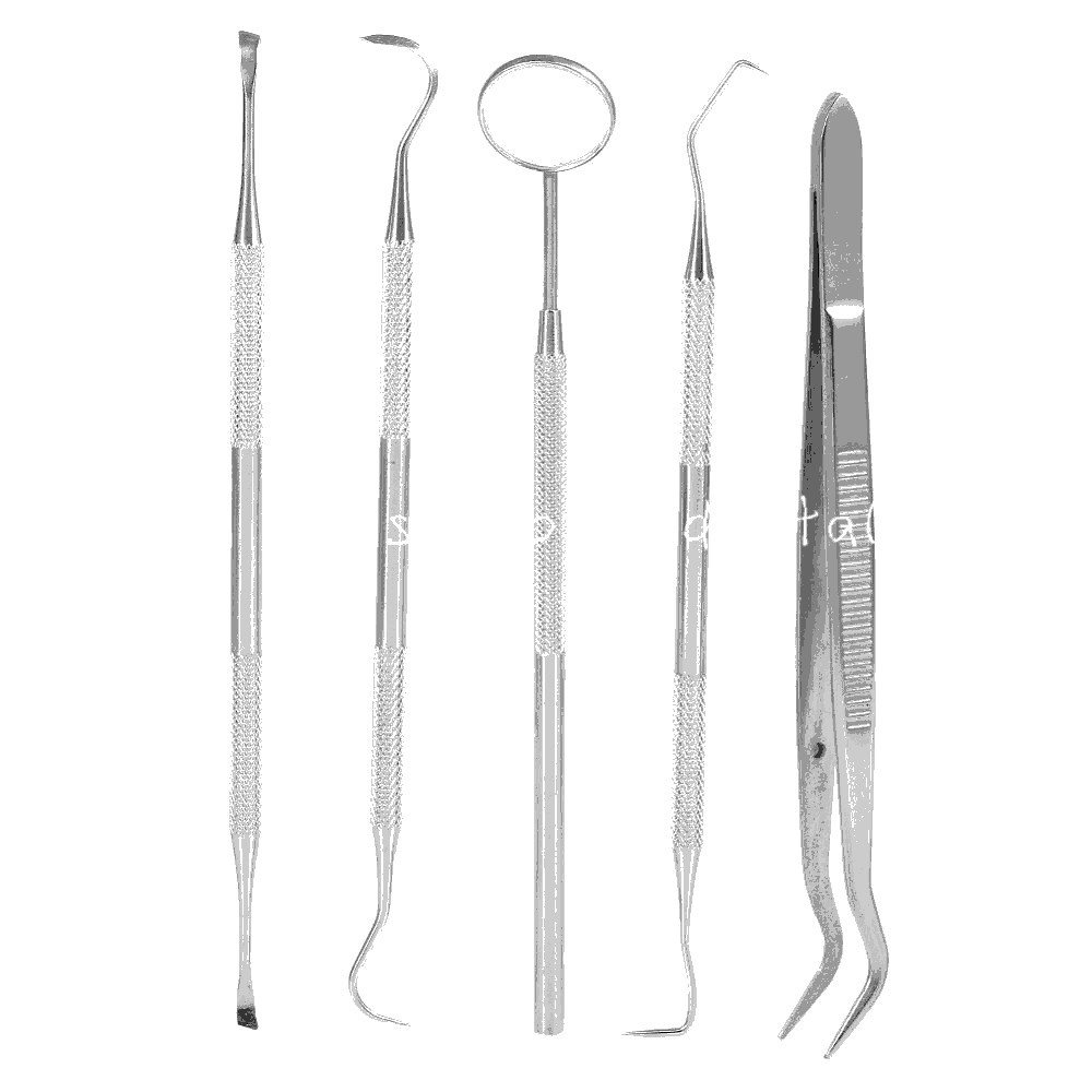 Dental Set Dentist Teeth Oral Clean Tools Probe Tweezers Stainless Steel Tools