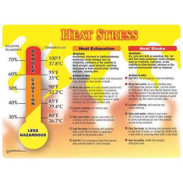 Accuform Poster, Heat Stress, Heat Exhaustion, Heat Stroke, 17 in H x, 22 in W,