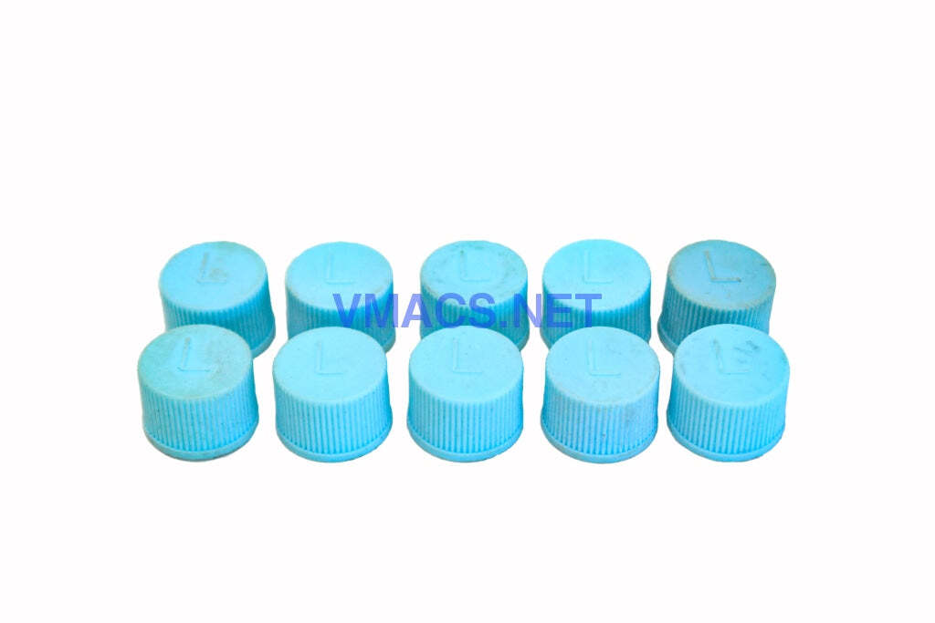Low Side 13mm R134A Asian Style Valve Core Cap 8953