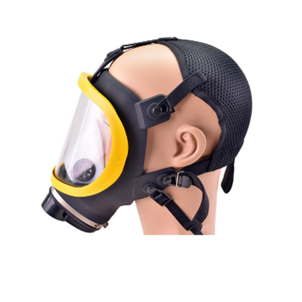 Electric Full Face Gas Mask Constant Flow Respirator Supplied Air Fed System us