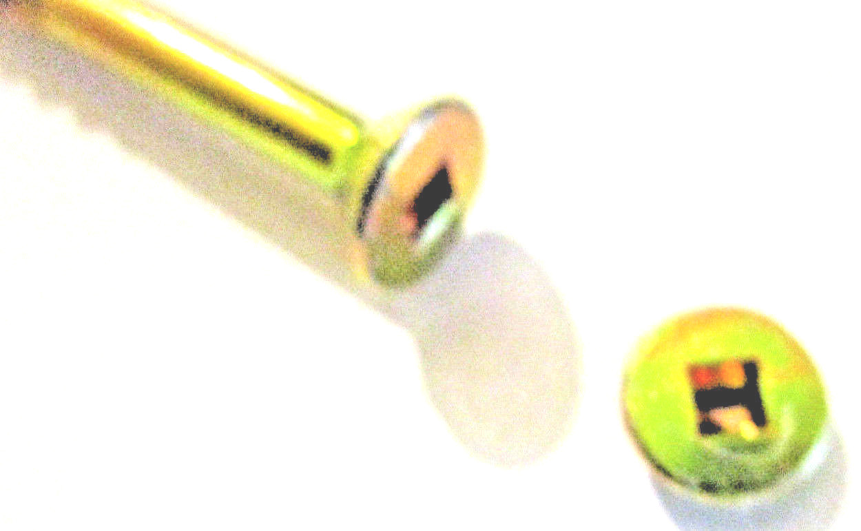 Square Bugle Head #8×3″ Coarse Thread Exterior Zinc Yellow Screw (1000)