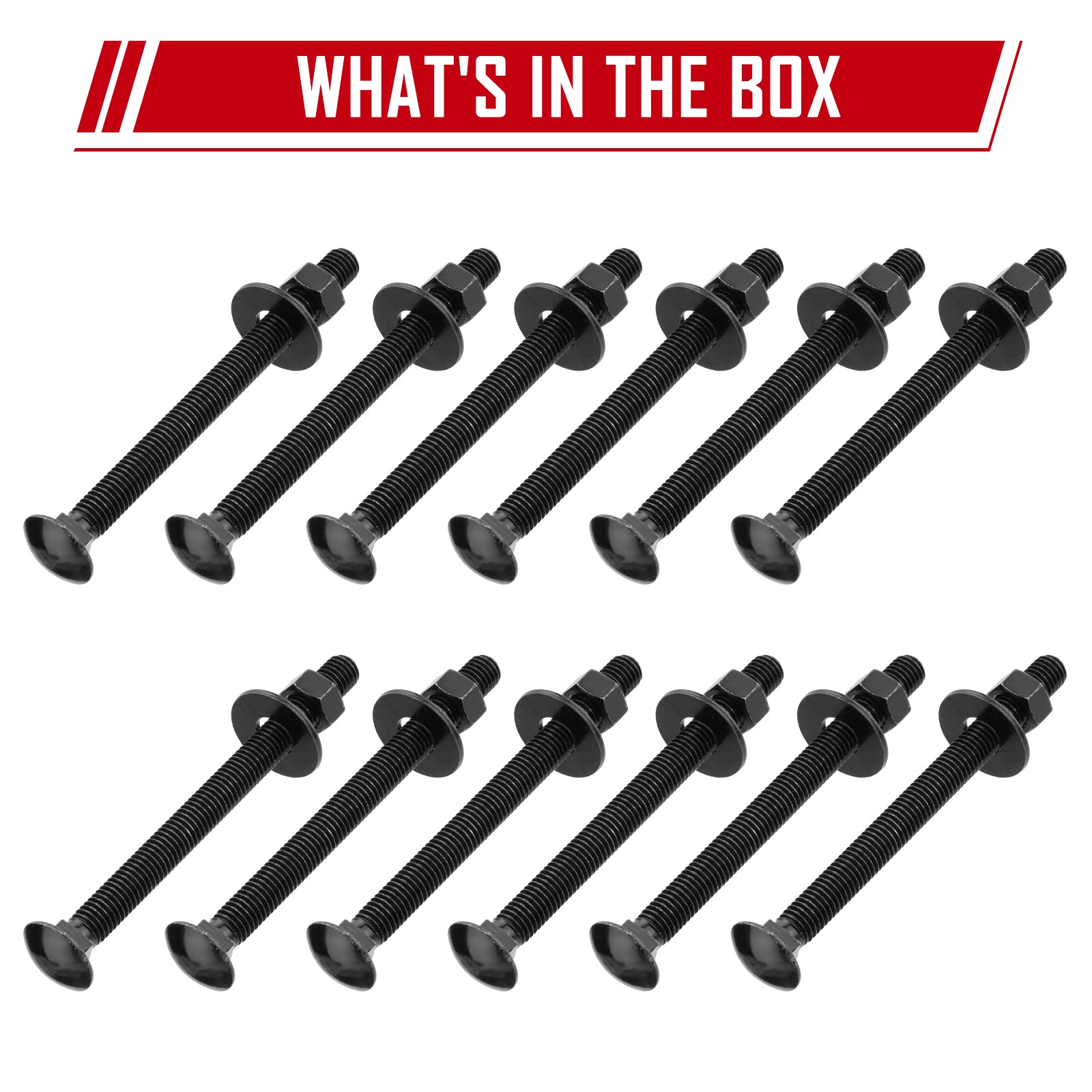 SPARKWHIZ 1/2 » x 8 » Carriage Bolt Kit Includes 12 Bolts 12 Washers & 12 Nuts