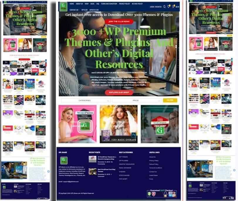 High quality website with 3000+digital products & hot demand readymade websites