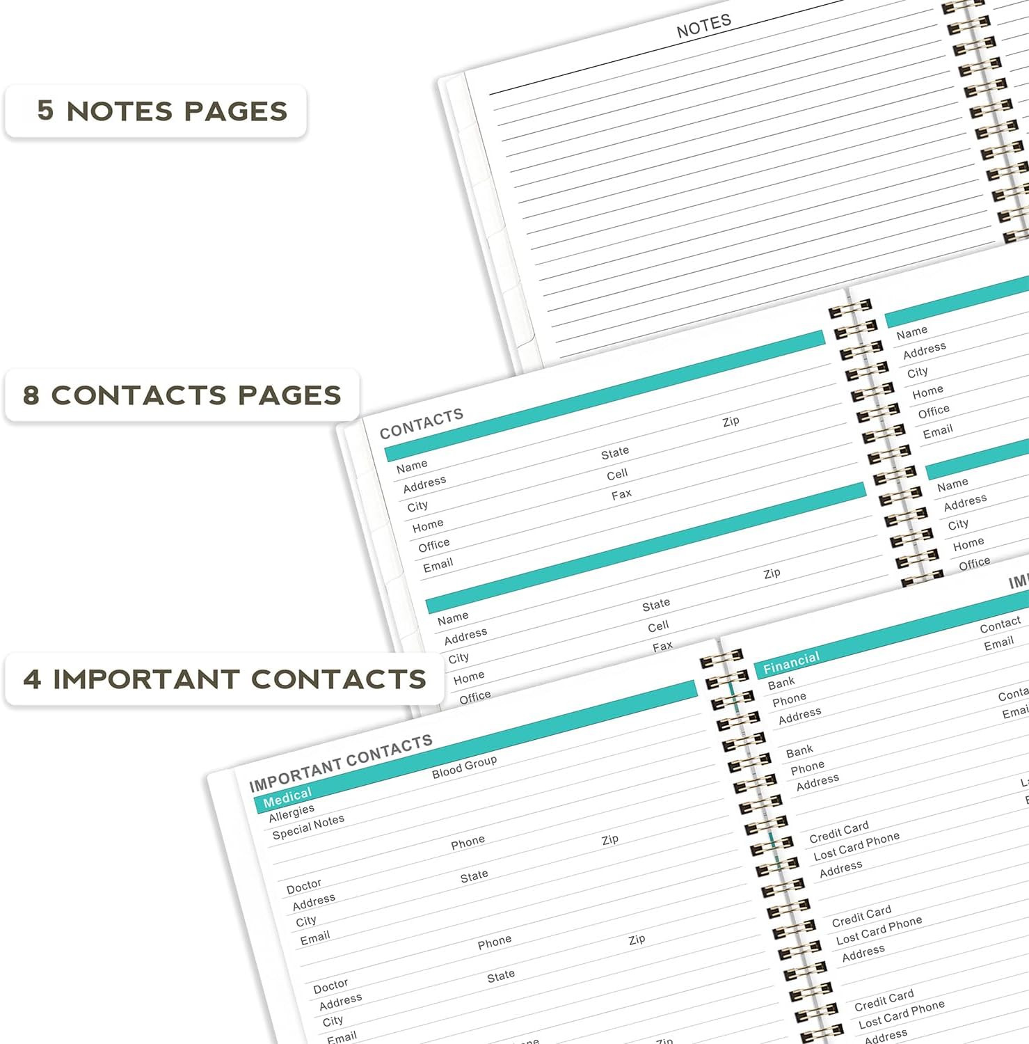 2025 Monthly Planner – Monthly Planner 2025 from Jan 2025 – December 2025, Calen