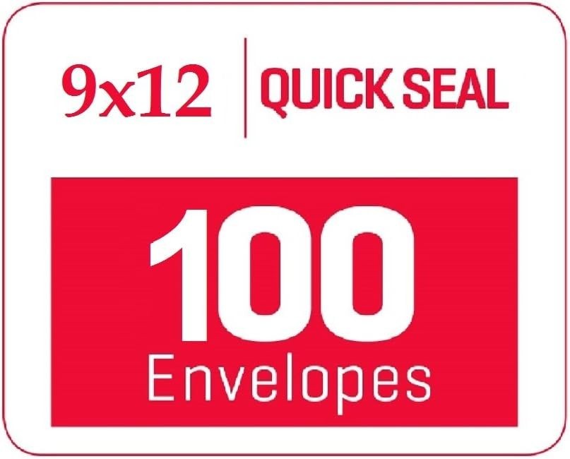 100 Count 9×12 Security Tinted Catalog Envelopes – Reliable Mailing Solution