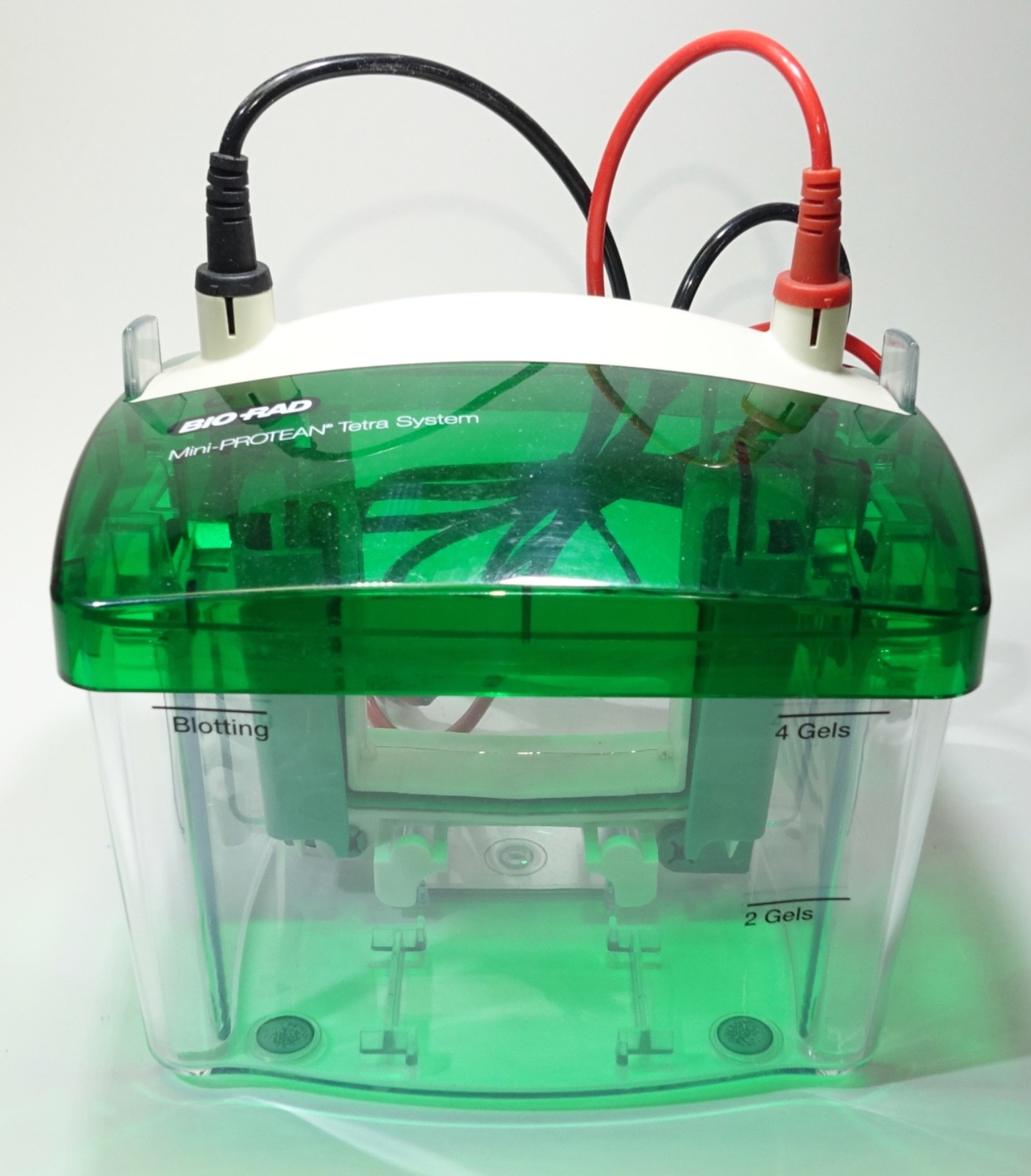Bio-Rad Mini-PROTEAN Tetra Cell SDS-PAGE System, 2 Gels; Great Condition