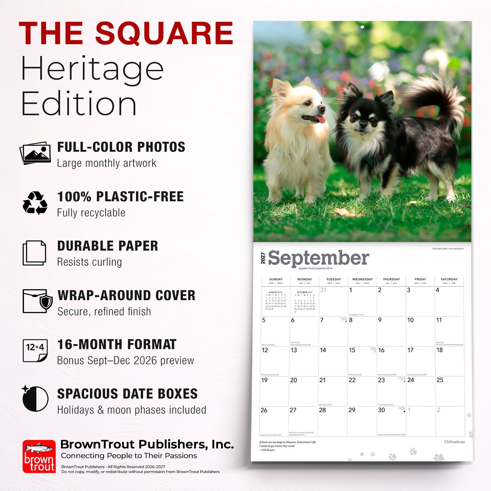 Chihuahuas | 2027 12×24″ (Hanging) Monthly Wall Calendar | Plastic-Free