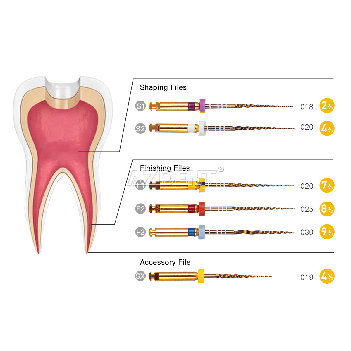 AZDENT Dental Endo Super Rotary Files Root Canal K-Files Engine Use 25MM SX-F3