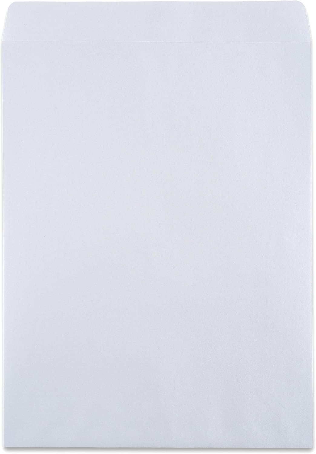 100 Count 9×12 Security Tinted Catalog Envelopes – Reliable Mailing Solution